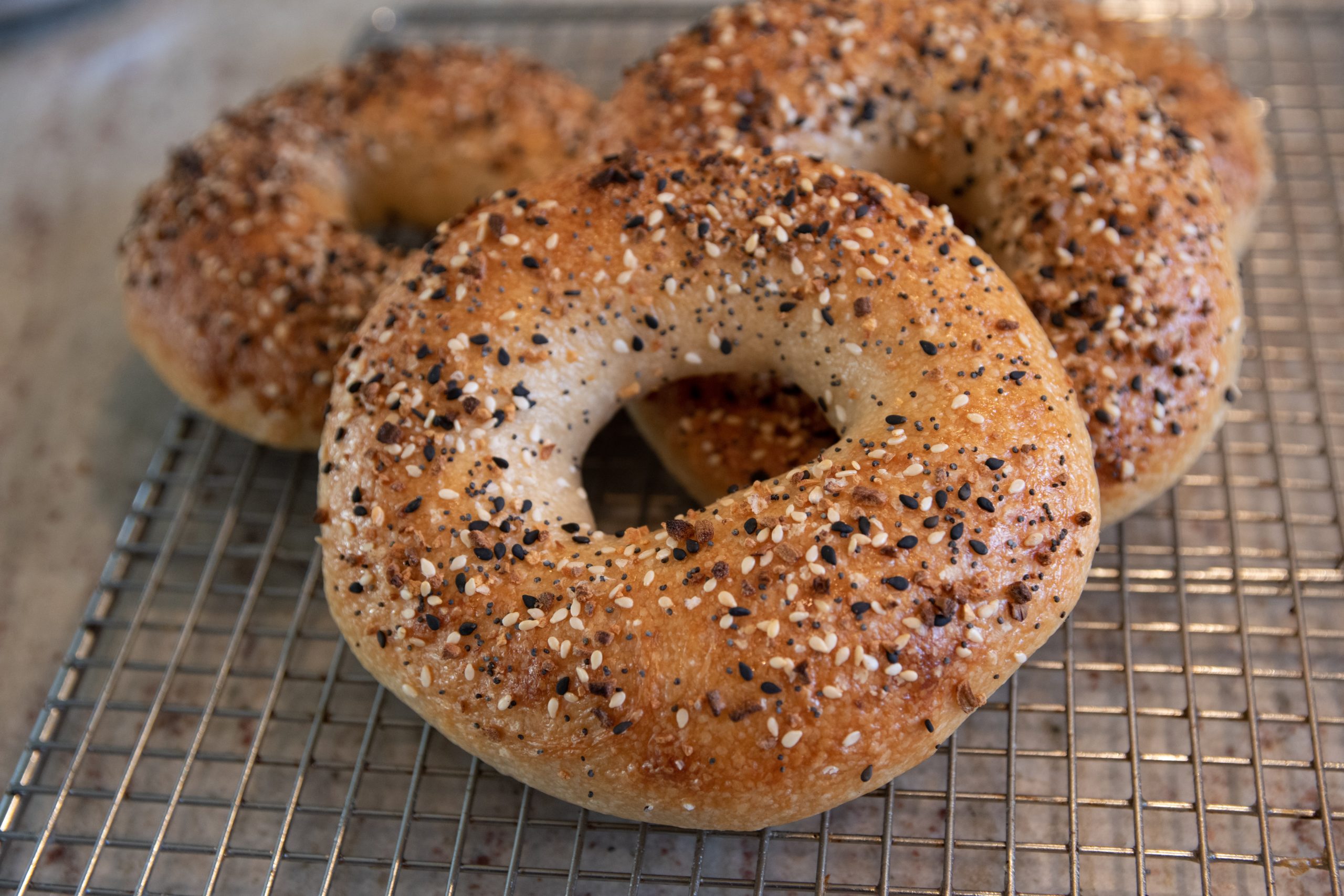 bagel