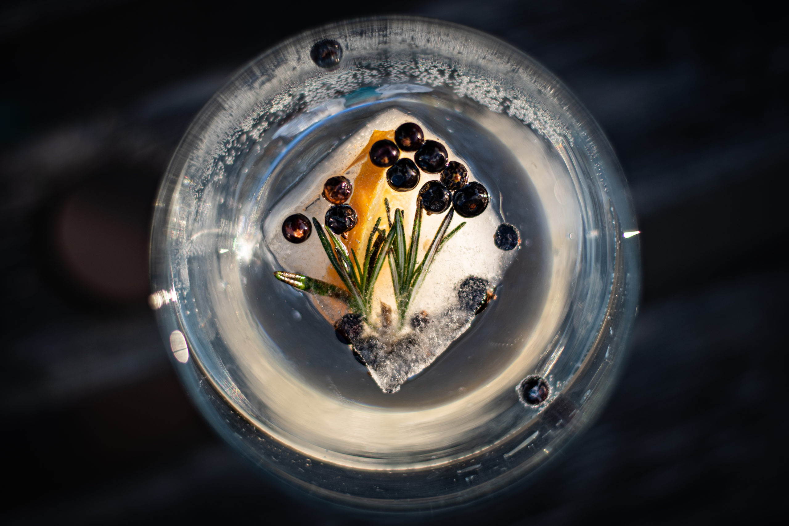 Beste gin ter wereld