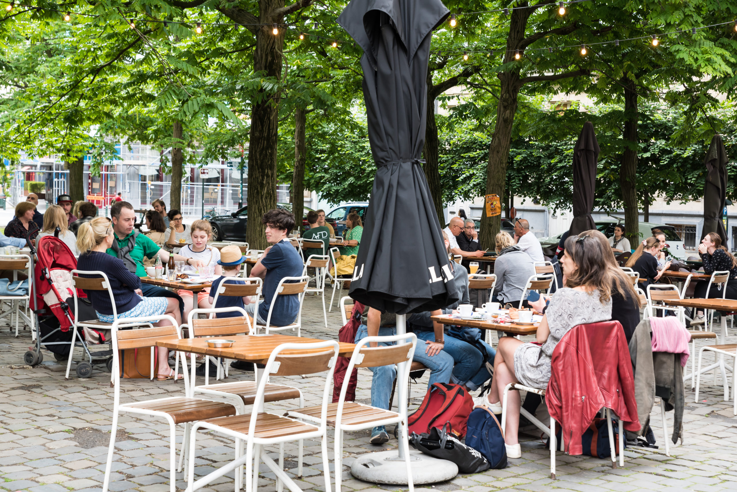 Terras