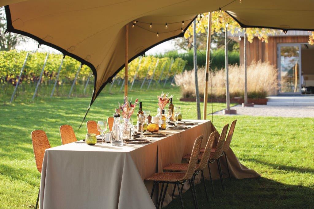 Dinner Vineyard