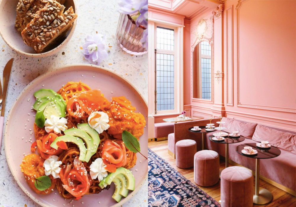 roze hotspots