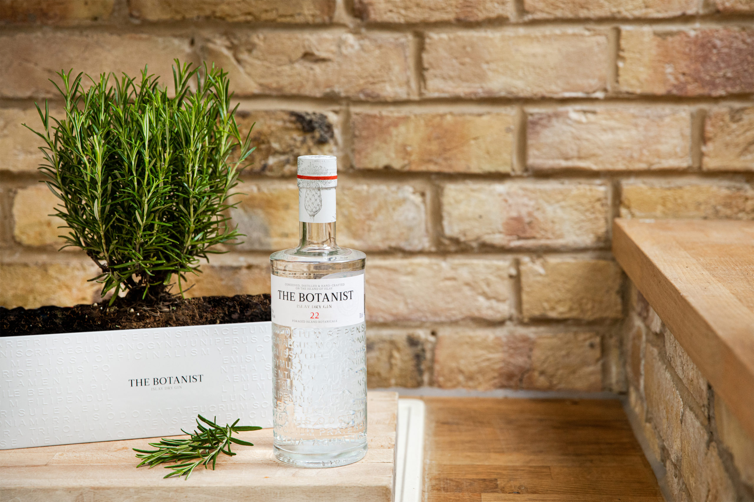 The Botanist Tin Planter pack