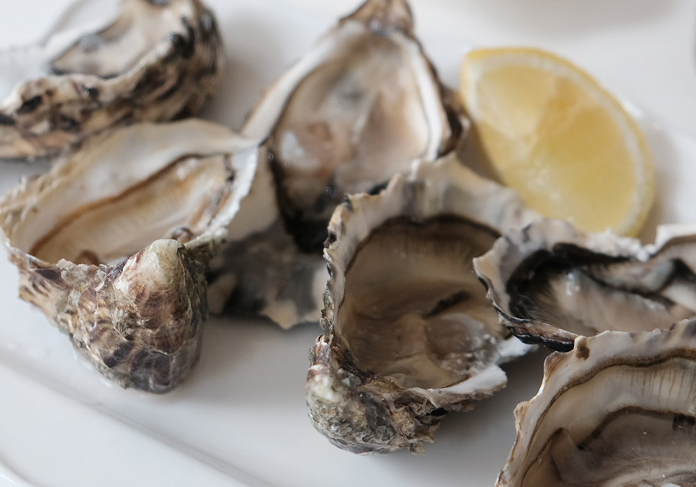meest gestelde vragen over oesters