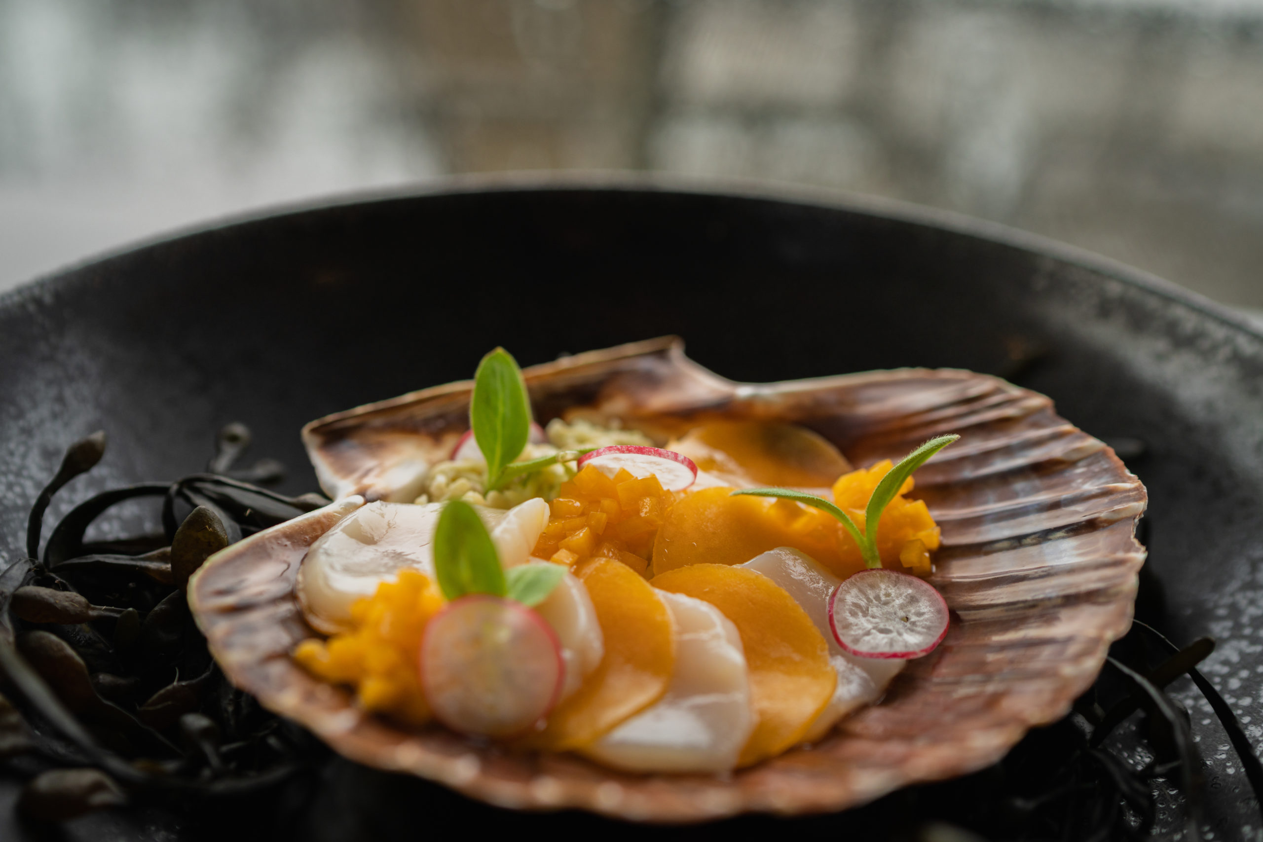 coquilles
