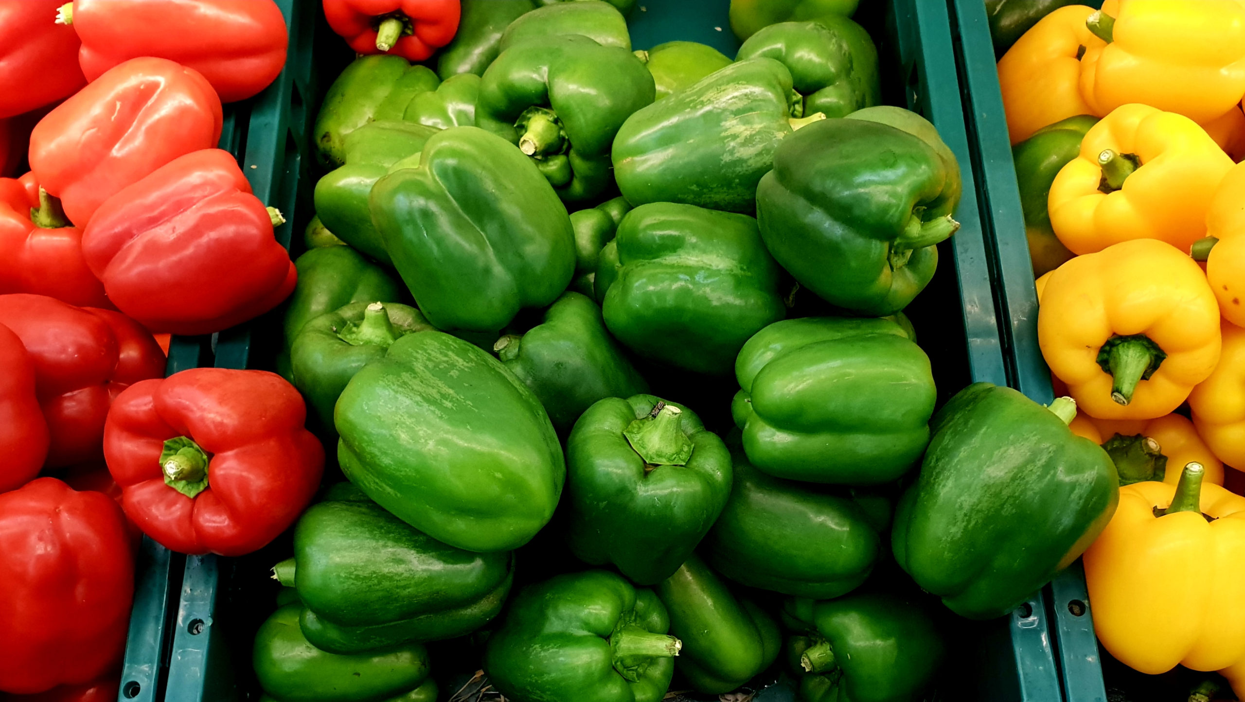 plastic rond groenten en fruit