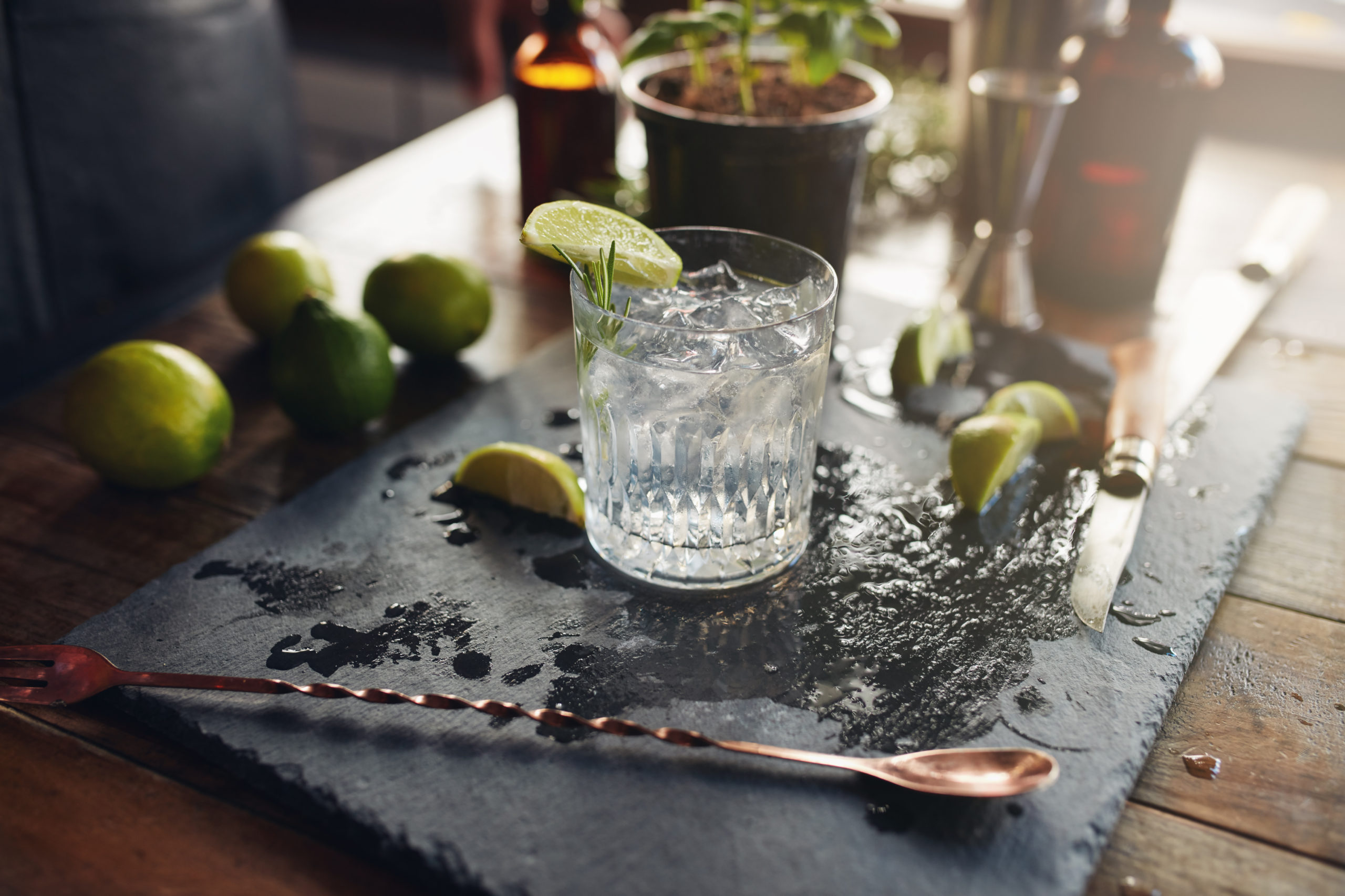 geschiedenis van de gin tonic