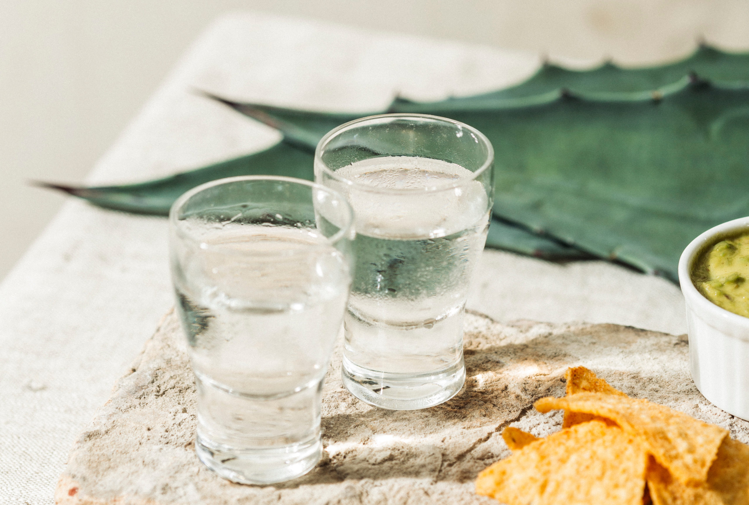 mezcal en agave