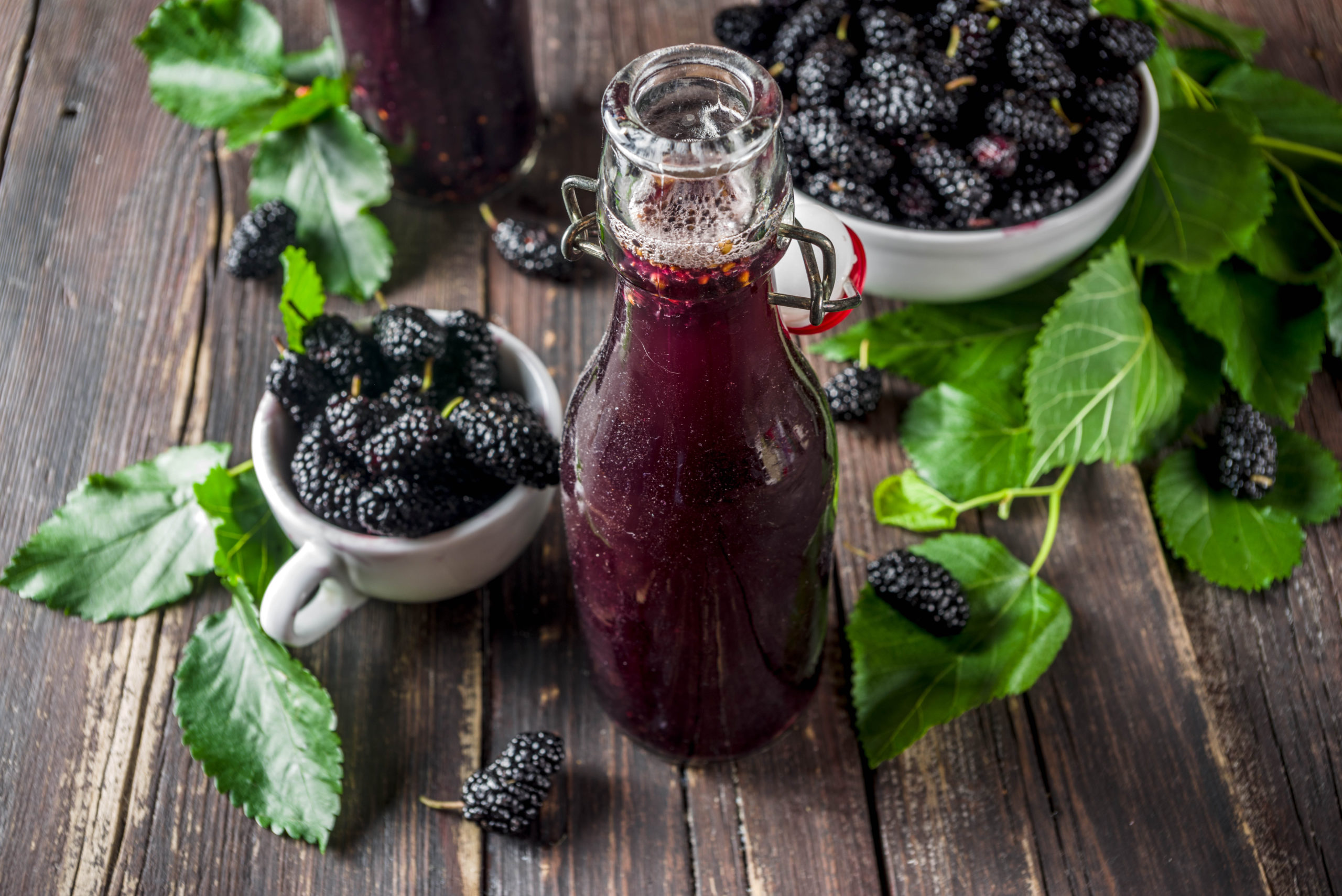 blackberry shrub