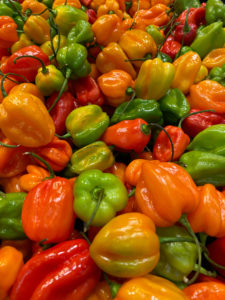 habanero